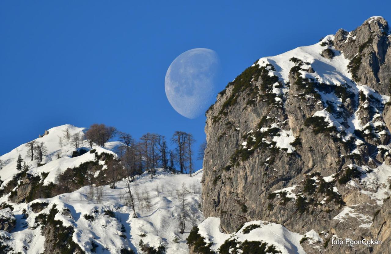 Mountain Charm Lejlighed Kranjska Gora Eksteriør billede